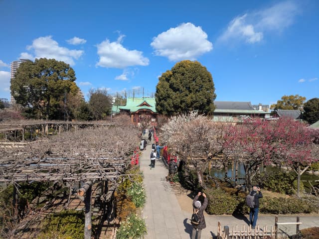 A scenic garden path lined with trees and shrubs, with people walking along it under a bright blue sky with scattered clouds
