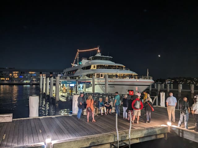 A group of people stands on a dock at night, with a large, illuminated boat moored nearby