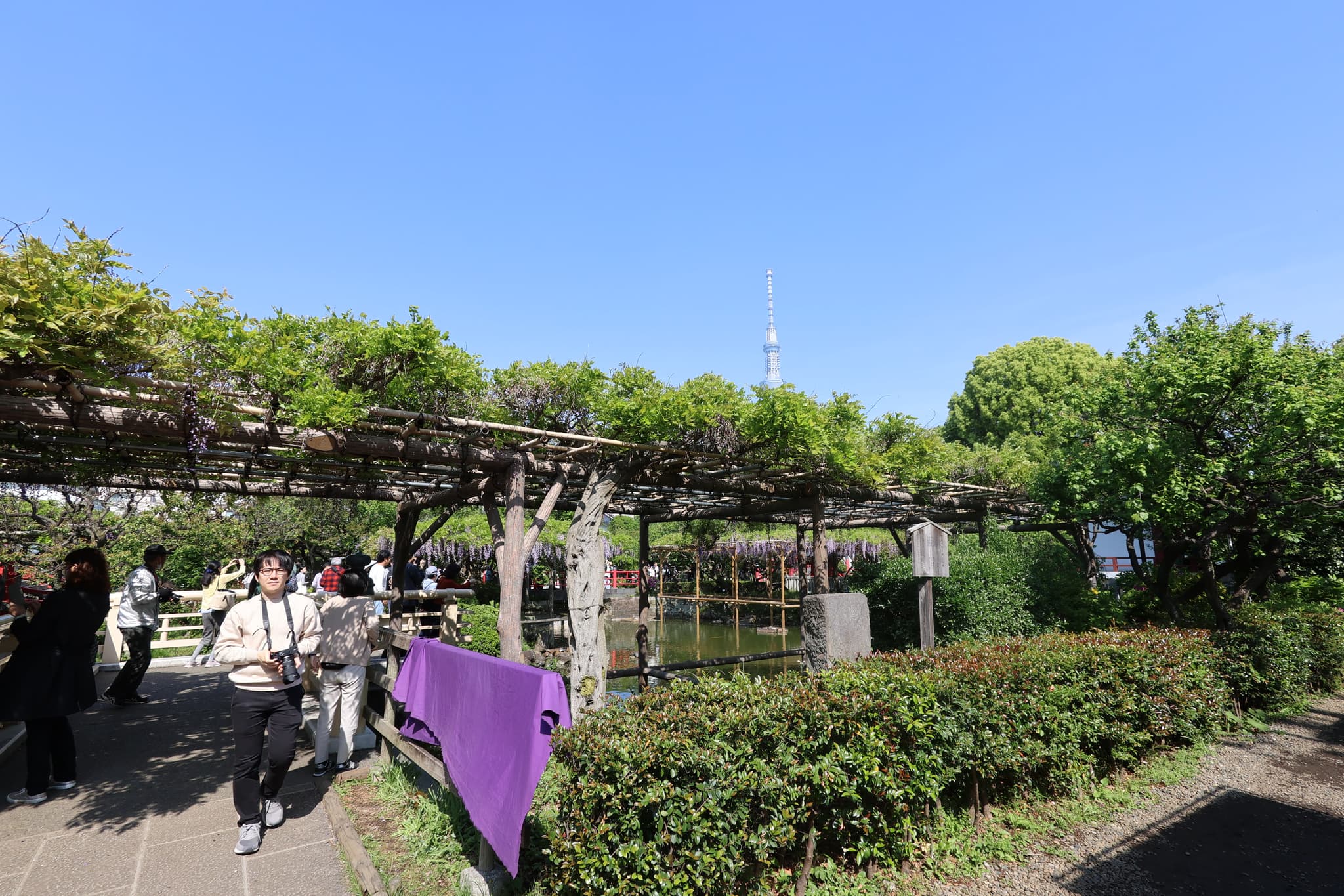 A garden scene with people walking along a path, a pergola covered in greenery, and a tall tower visible in the background under a clear blue sky