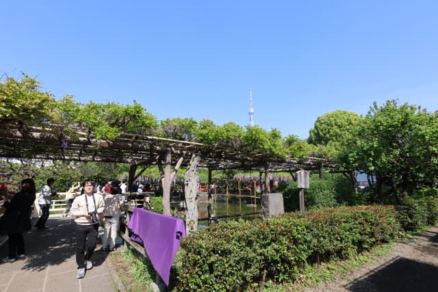 A garden scene with people walking along a path, a pergola covered in greenery, and a tall tower visible in the background under a clear blue sky